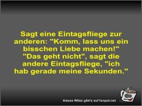 Sagt eine Eintagsfliege zur anderen