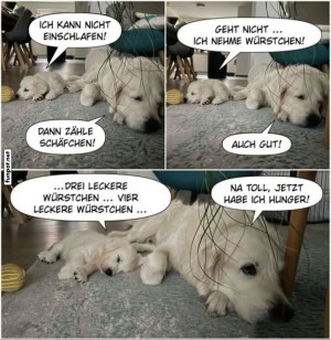 Hunde-beim-Einschlafen:-Witzige-Idee.jpg auf www.funpot.net
