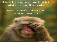Der junge Affe und der reife Fehler