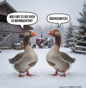 Die-schnatternden-Weihnachtsplaner.jpg auf www.funpot.net