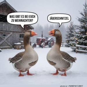 fun-Bild: Die schnatternden Weihnachtsplaner
