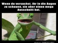 Die Herausforderung der Blickkontakte