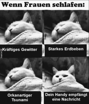 Wenn-die-Nacht-vibriert!.jpg auf www.funpot.net