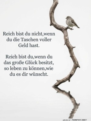 Wenn-V�gel-�ber-Reichtum-philosophieren.jpg auf www.funpot.net