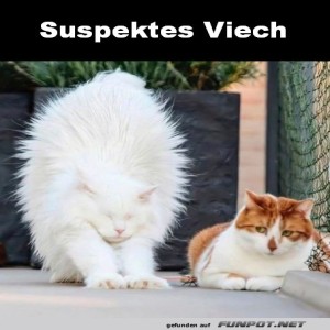 Die-ist-mir-nicht-geheuer.jpg von Leona