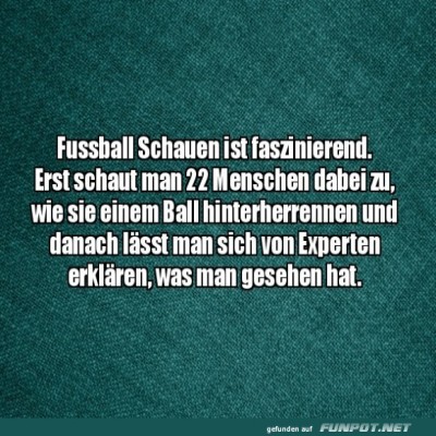 Fu&szlig;ball-ist-schon-faszinierend.jpg von Leif