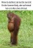 FunpotNews