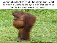 Pl�tzlicher Sommerwetter-Schock!