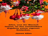 alles, was der mensch
