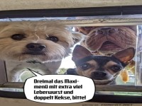 Die hungrige Hundebande am Drive-in