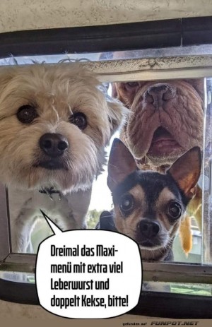 Die-hungrige-Hundebande-am-Drive-in.jpg auf www.funpot.net