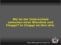 Wo ist der Unterschied zwischen einer Blondine und Chappi?