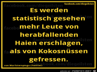 diegeilsten Statistik