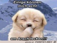einige können mich ech