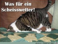 Bl�des Wetter