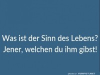 was ists der sinn des lebens