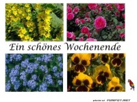 Ein schoenes Wochenende 7a