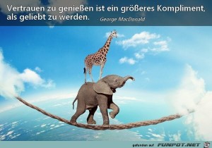 Vertrauen-zu-geniessen.jpg auf www.funpot.net