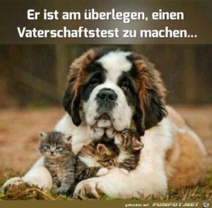 Vaterschaftstest-empfohlen.jpg auf www.funpot.net