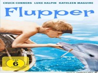 Der neue Flipper