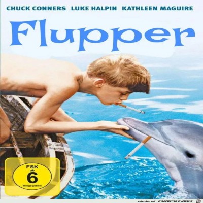 Der-neue-Flipper.jpg von Hannah