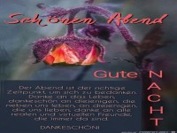 Schnen Abend