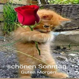 herz-Bild: Schönen Sonntag