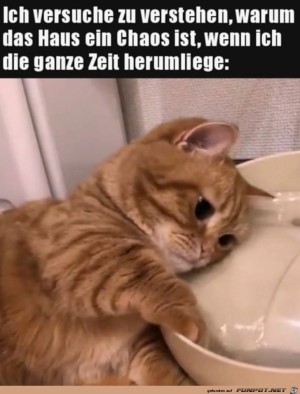 Wie-geht-das-nur.jpg auf www.funpot.net