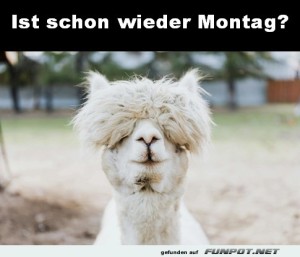 Begrüßungsbild