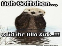 Niedlicher Otter mit s��em Text