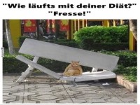 Bankdrcker wider Willen!