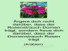 weiter
