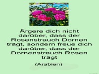 rgere dich nicht