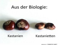 Aus der Biologie