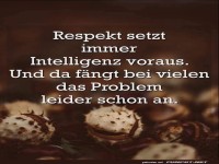 Respekt setzt immer Intelligenz voraus