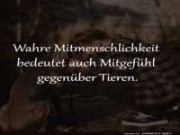 Tierische Empathie: Ein Mitgef�hl-Selfie!