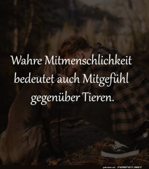 Tierische-Empathie:-Ein-Mitgef�hl-Selfie!.jpg auf www.funpot.net