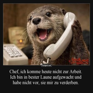 Freche-Otterplauderei:-Anruf-mit-Überraschungen.jpg von Queen92