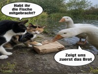 Geheime Verhandlungen am Teich