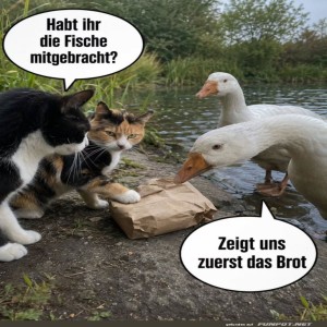 Geheime-Verhandlungen-am-Teich.jpg von Josie-96