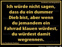 diegeilsten dummer Dieb