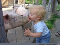 A kiss a day keeps the doctor away