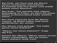 ein Pole ein Ossi ein Wessi