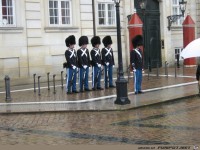 0705 Kopenhagen Wachwechsel1