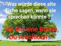 Jetzt wei�t du das auch