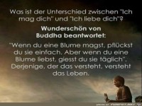 Was ist der Unterschied