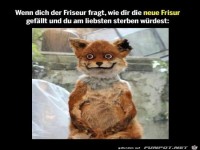 Die neue Frisur