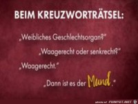 Beim Kreuzworträtsel