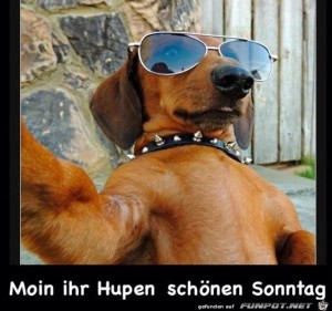Begr&uuml;&szlig;ungsbild