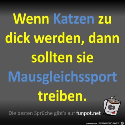 Katzen.jpg von Fossy
